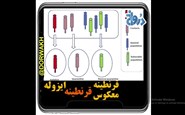 ایزوله، قرنطینه، قرنطینه معکوس